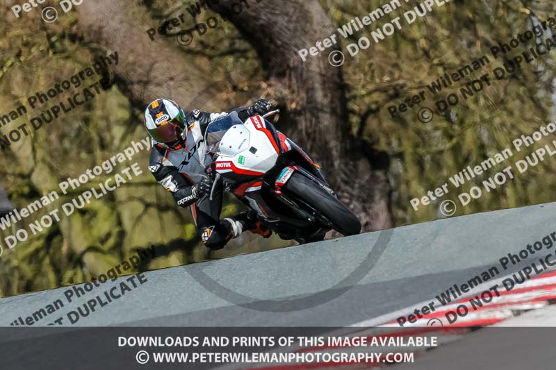 Oulton Park 20th March 2020;PJ Motorsport Photography 2020;anglesey;brands hatch;cadwell park;croft;donington park;enduro digital images;event digital images;eventdigitalimages;mallory;no limits;oulton park;peter wileman photography;racing digital images;silverstone;snetterton;trackday digital images;trackday photos;vmcc banbury run;welsh 2 day enduro